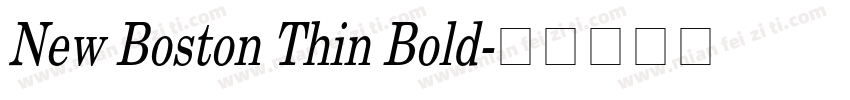 New Boston Thin Bold字体转换